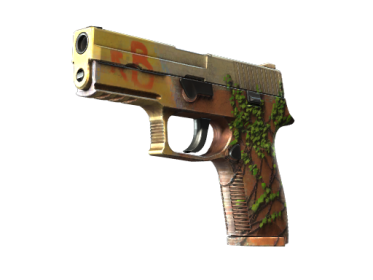 StatTrak™ P250 | Inferno (Minimal Wear)