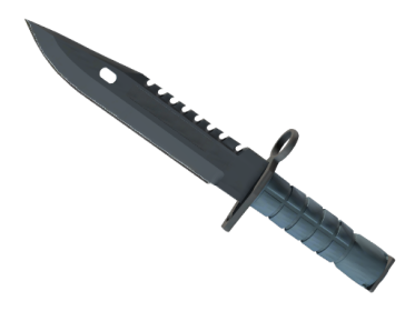 ★ M9 Bayonet | Night (Minimal Wear)