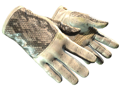 Driver Gloves | King Snake (Field-Tested)