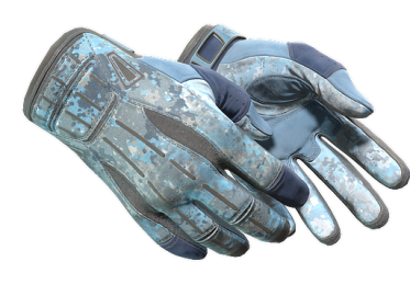 ★ Sport Gloves | Frosty (Well-Worn)