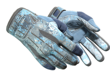 ★ Sport Gloves | Frosty (Minimal Wear)