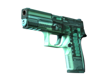 StatTrak™ P250 | X-Ray (Minimal Wear)