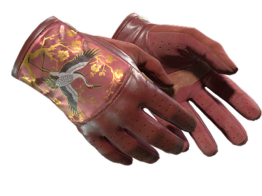 ★ Driver Gloves | Brocade Crane (Field-Tested)