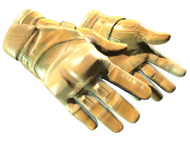 Moto Gloves | Transport (Minimal Wear)