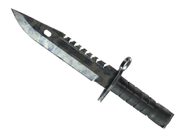 ★ M9 Bayonet | Stained (Field-Tested)