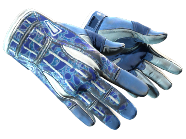 Sport Gloves | Amphibious (Well-Worn)