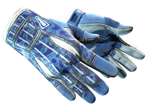 Sport Gloves | Amphibious (Field-Tested)