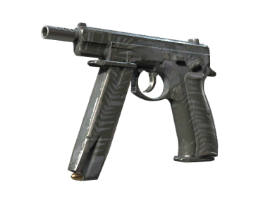 CZ75-Auto | Midnight Palm (Field-Tested)