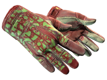Sport Gloves | Bronze Morph (Field-Tested)