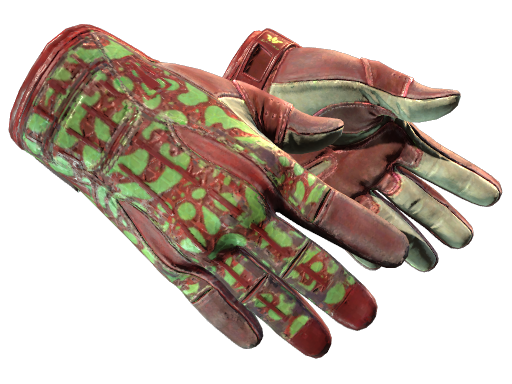 Sport Gloves | Bronze Morph (Field-Tested)