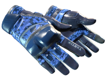 Moto Gloves | Polygon (Minimal Wear)