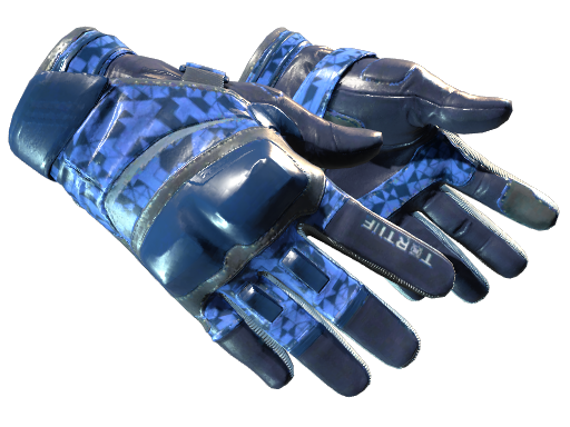Moto Gloves | Polygon (Minimal Wear)
