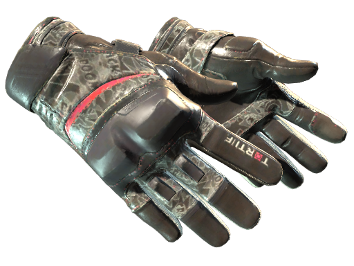 Moto Gloves | Boom! (Field-Tested)