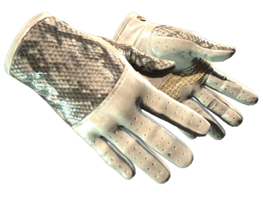 Driver Gloves | King Snake (Minimal Wear)