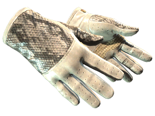 Driver Gloves | King Snake (Minimal Wear)