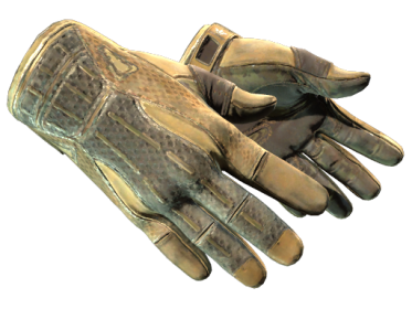 Sport Gloves | Arid (Battle-Scarred)