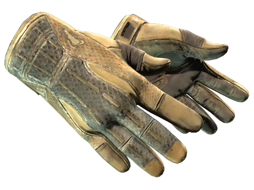 Sport Gloves | Arid (Battle-Scarred)