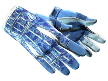 Sport Gloves | Amphibious (Minimal Wear)