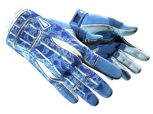 Sport Gloves | Amphibious (Minimal Wear)