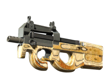 P90 | Shapewood (Minimal Wear)