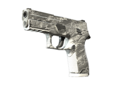 P250 | Sleet (Field-Tested)