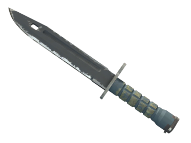 ★ Bayonet | Night (Field-Tested)