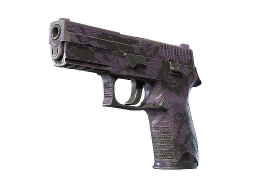 P250 | Plum Netting (Field-Tested)