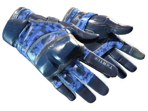 Moto Gloves | Polygon (Field-Tested)