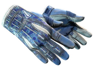 Sport Gloves | Amphibious (Battle-Scarred)