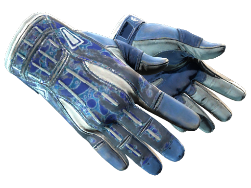 Sport Gloves | Amphibious (Battle-Scarred)