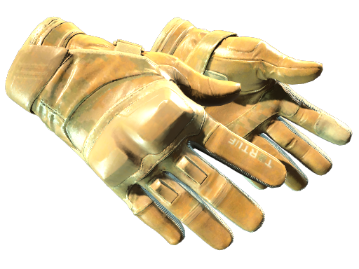 Moto Gloves | Transport (Factory New)